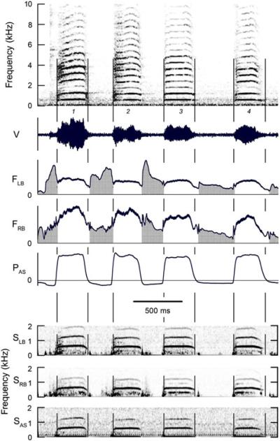 Fig. 7