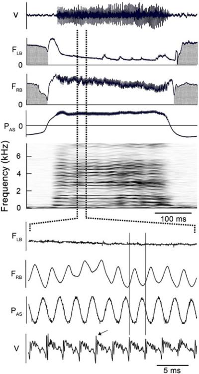 Fig. 10