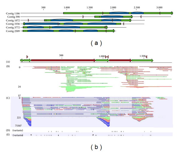 Figure 2