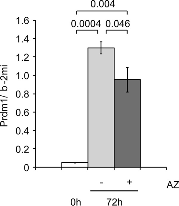 FIGURE 11.