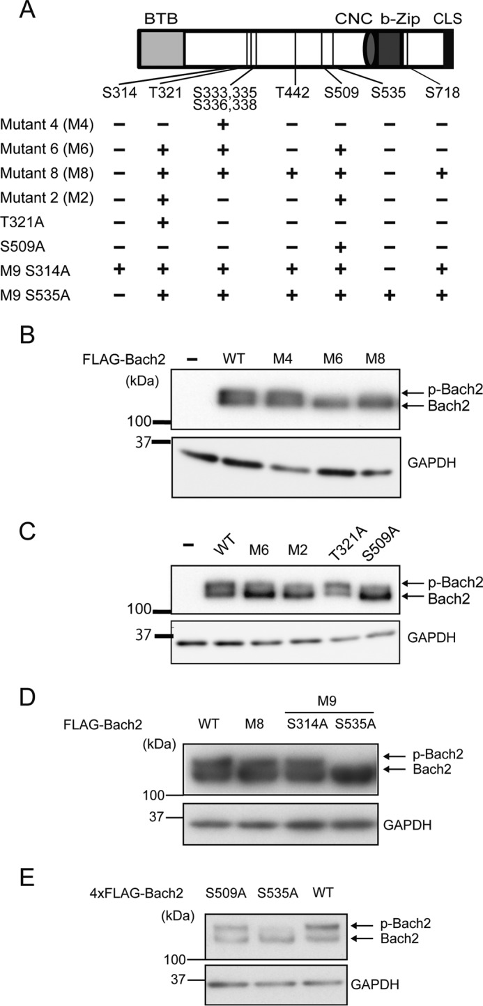 FIGURE 7.