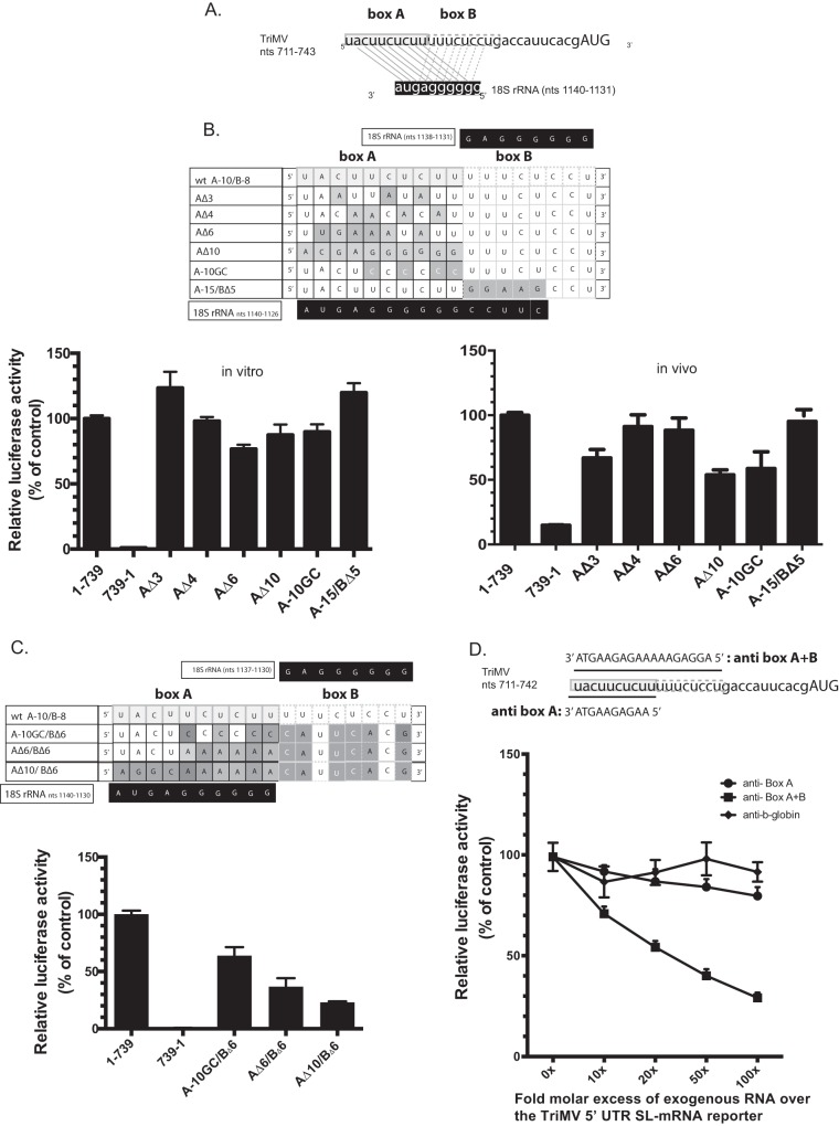 FIG 3