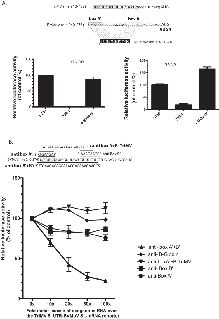 FIG 6