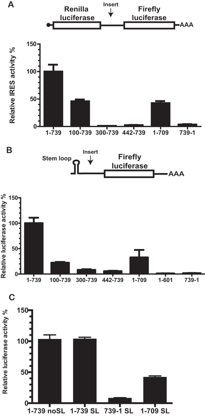 FIG 1