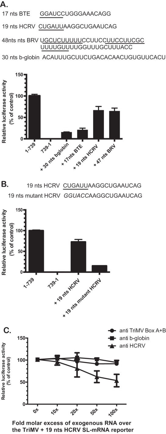 FIG 4