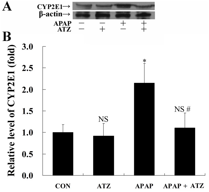 Fig 7