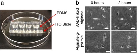 Fig. 4