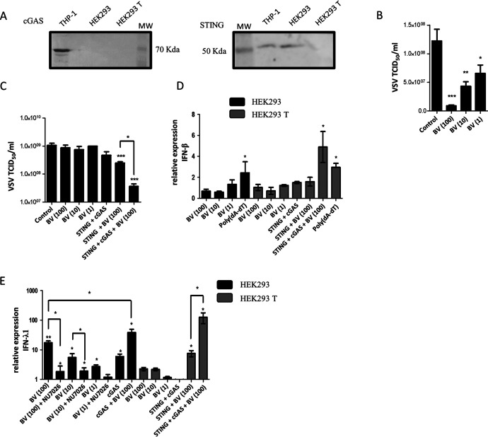 FIG 3