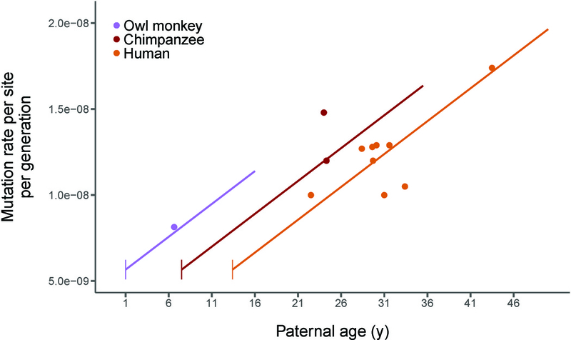 Figure 3: