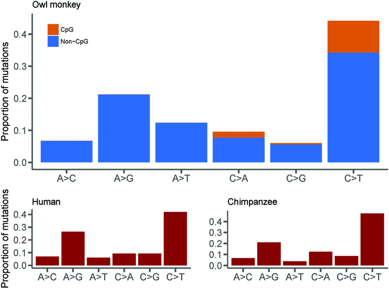 Figure 2: