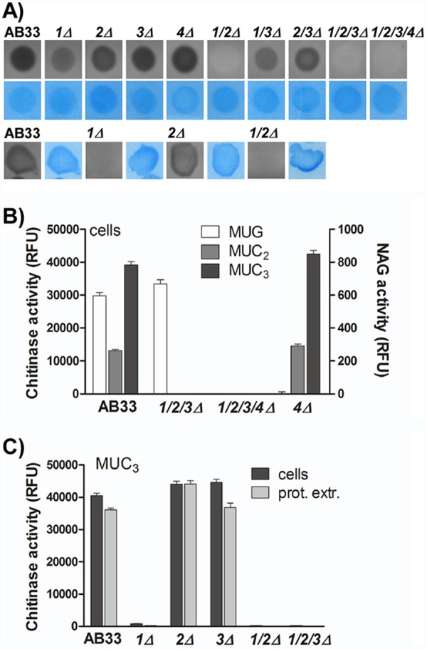 FIG 2