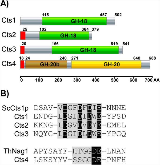 FIG 1