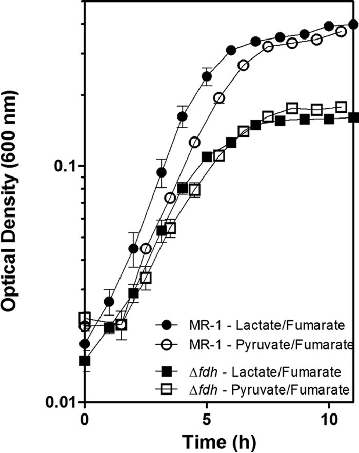 FIG 3