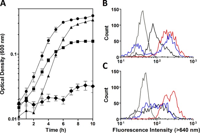 FIG 6