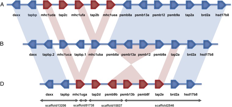 Fig. 2.