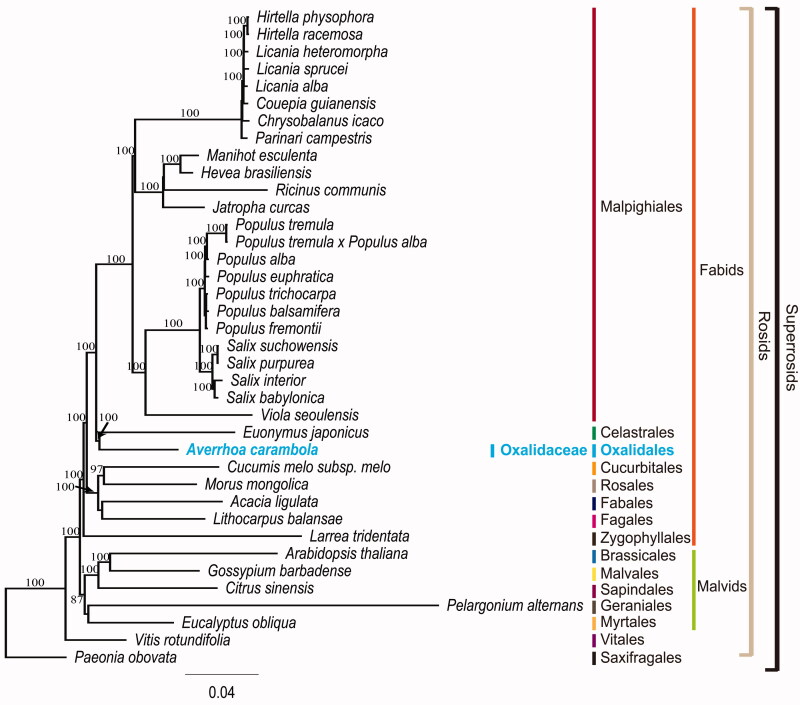 Figure 1.