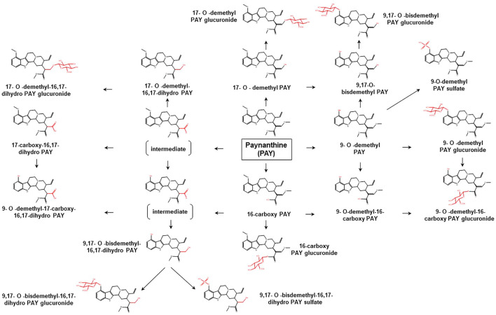 FIGURE 3