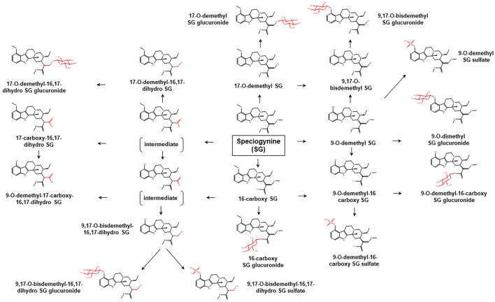 FIGURE 4