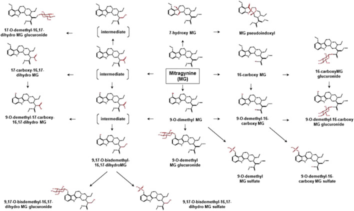 FIGURE 2