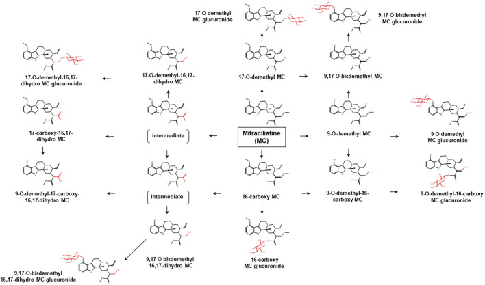 FIGURE 6