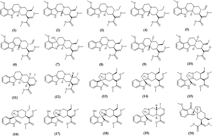 FIGURE 1