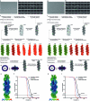 Extended Data Fig. 6