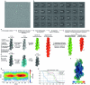 Extended Data Fig. 1