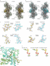 Extended Data Fig. 7