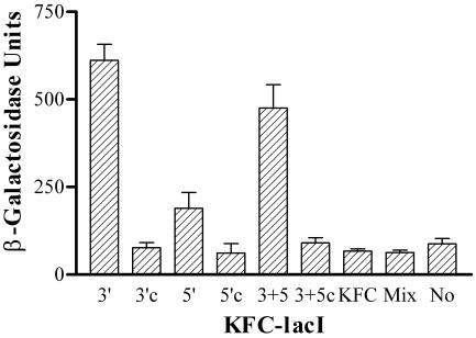 FIG. 5.