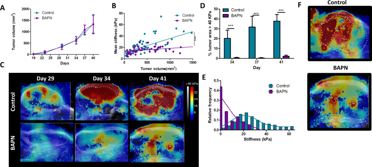 Figure 2—figure supplement 3.