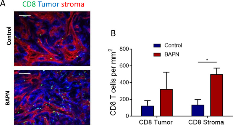 Figure 5—figure supplement 1.