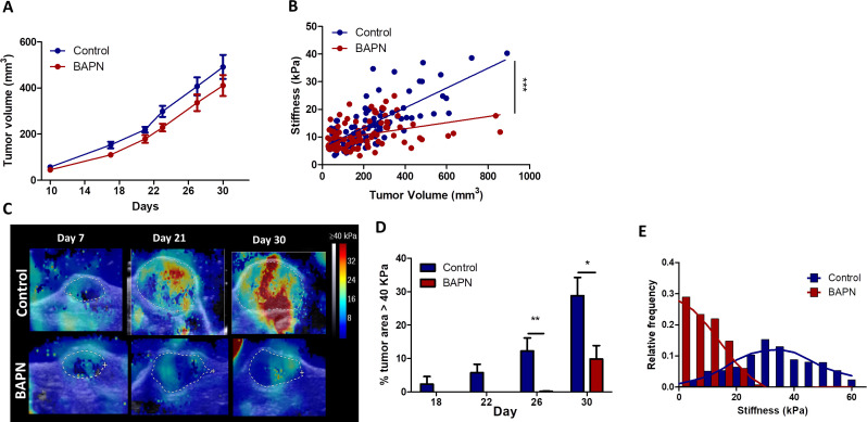 Figure 2—figure supplement 2.