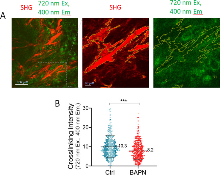 Figure 2—figure supplement 1.