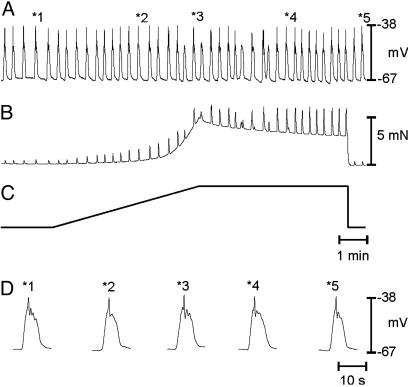 Fig. 5.