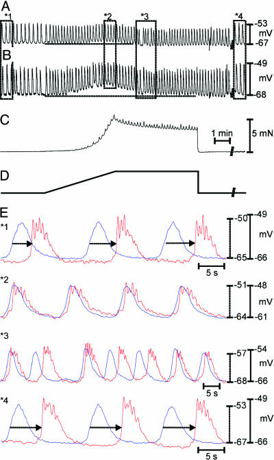 Fig. 4.