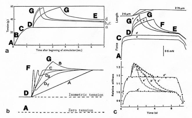 Figure 24