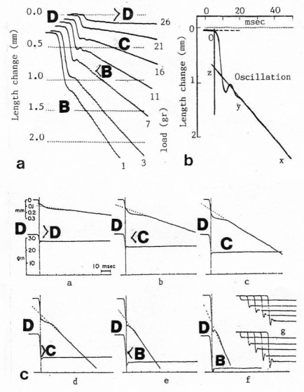 Figure 23