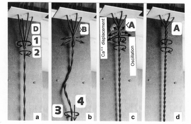 Figure 19