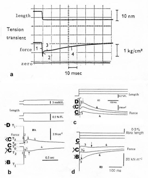 Figure 22