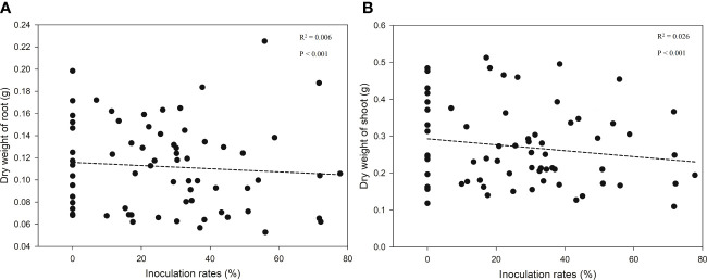 Figure 5