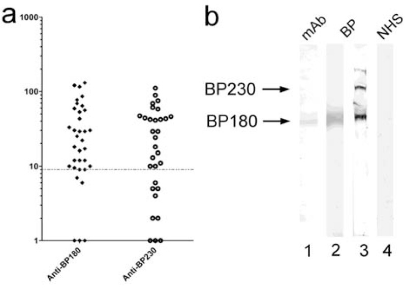 Fig. (8)