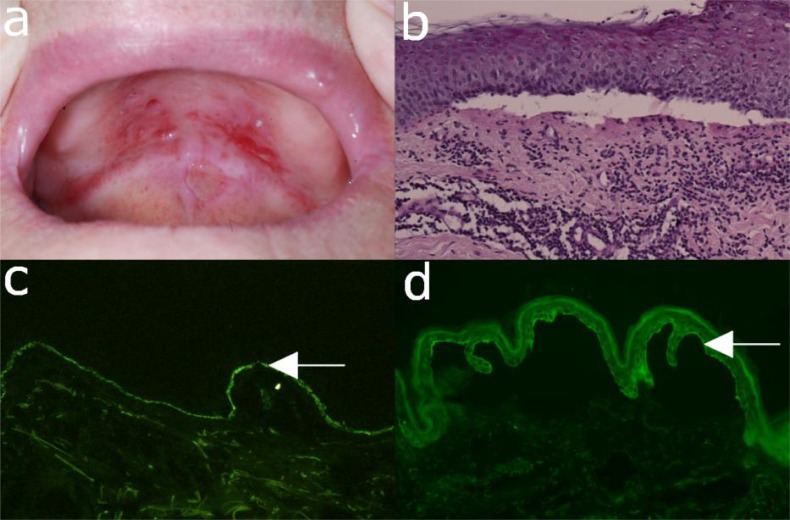 Fig. (9)