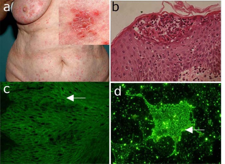 Fig. (6)