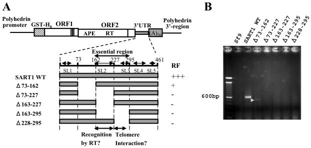 FIG. 5.