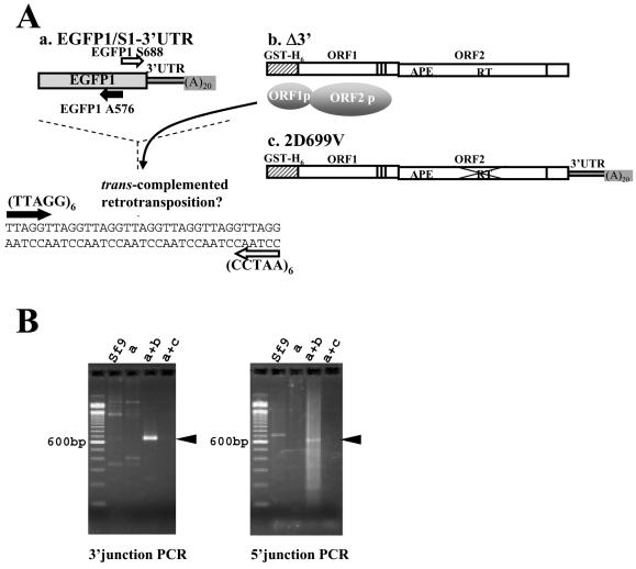 FIG. 6.