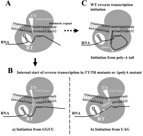 FIG. 7.