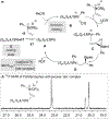 Scheme 20