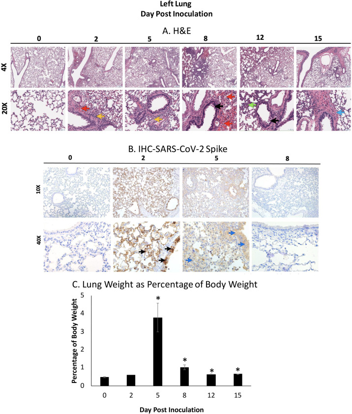 Fig 4