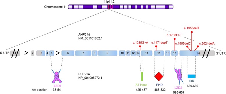 Fig. 2
