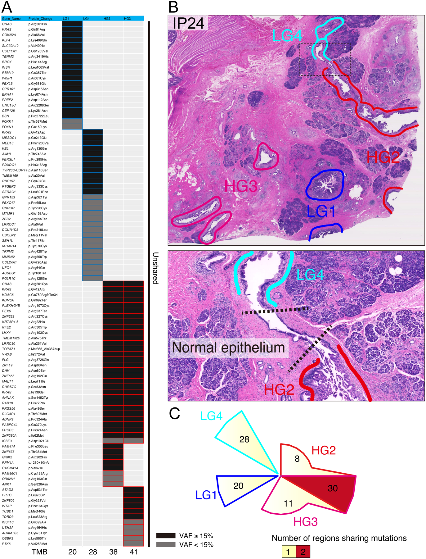 Figure 5: